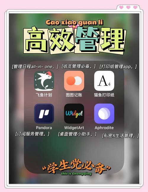 提升TP官网下载效率？做好这些安排，让流程更顺畅