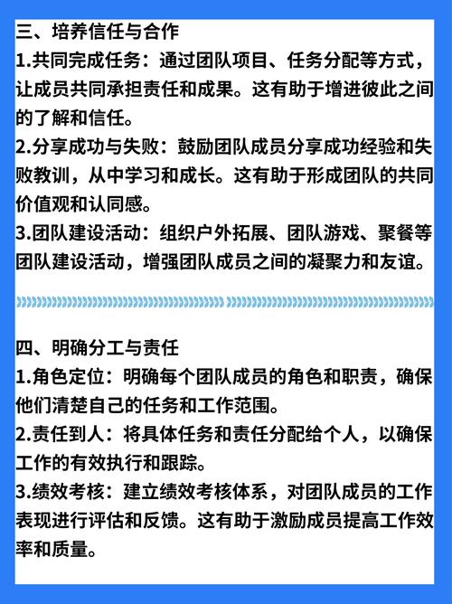 TP官方网站下载服务：团队顺畅配合，明确分工很关键