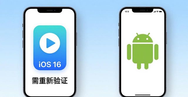 TP官网苹果版下载好用吗？真实体验与改进建议